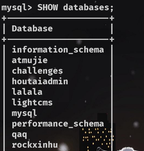 image-20220204161923310