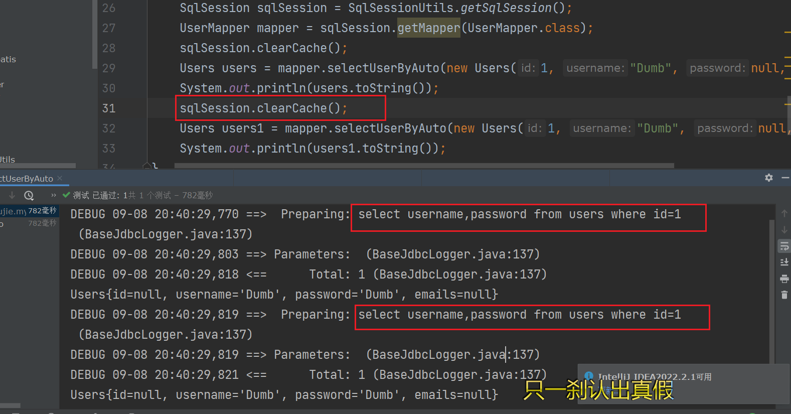 image-20220908204103277