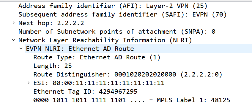 image-20230531230927739