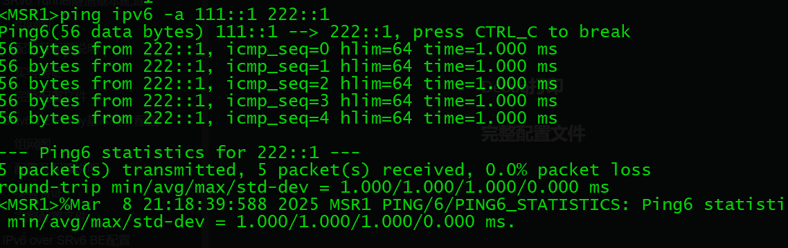 image-20250308211856140