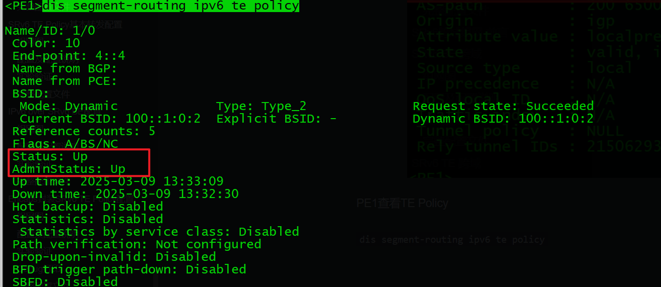 image-20250309135644493