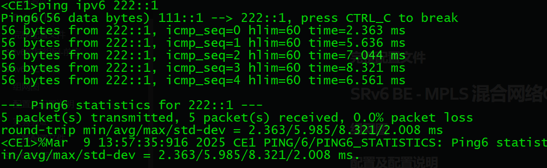 image-20250309135745800