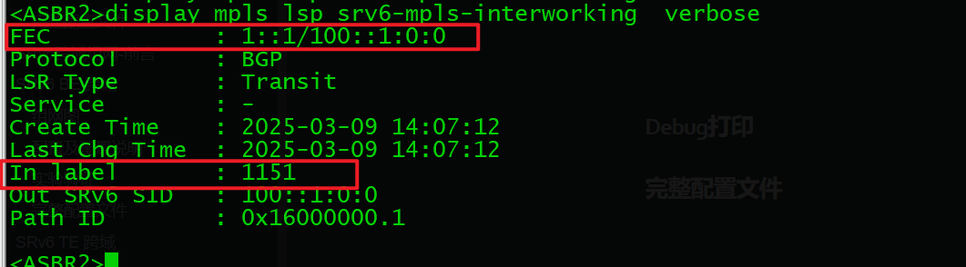 image-20250309143646522